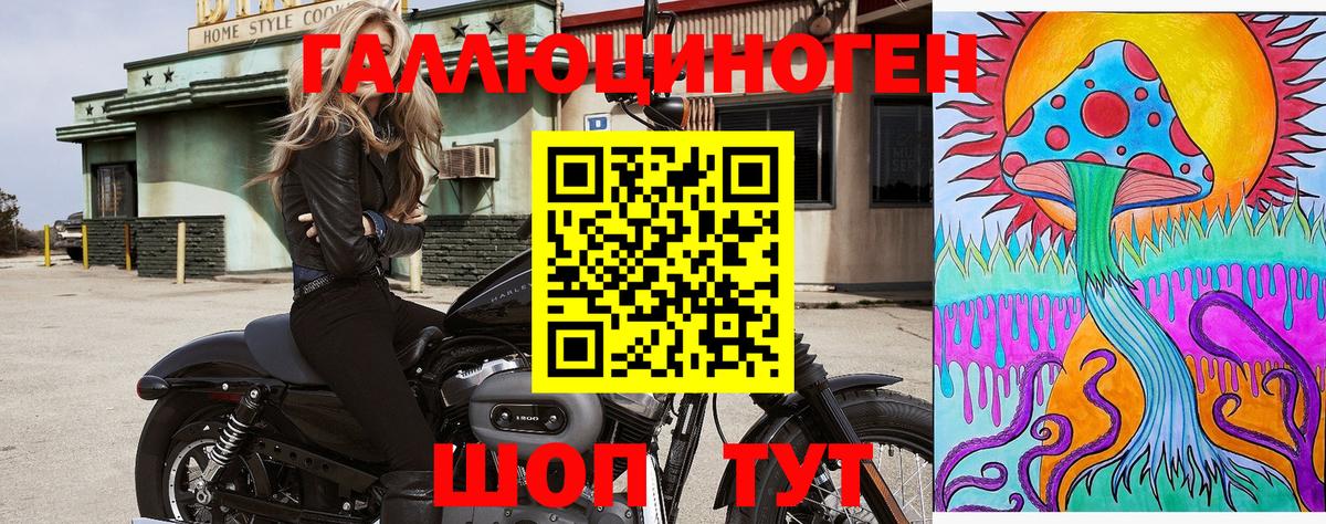 Галлюциногенные грибы Psilocybe  наркотики  Шадринск  Вход с VPN 